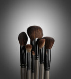 Expansion Set Group Shopt