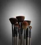 Specialty Set Group Shot